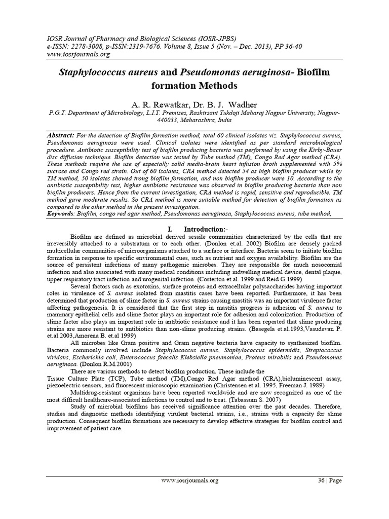 Staphylococcus Aureus and Pseudomonas Aeruginosa - Biofilm | PDF ...