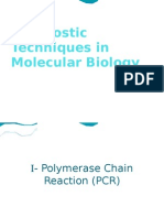 Diagnostic Techniques in Molecular Biology 2 Modified)