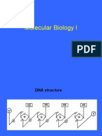Molecular Biology I