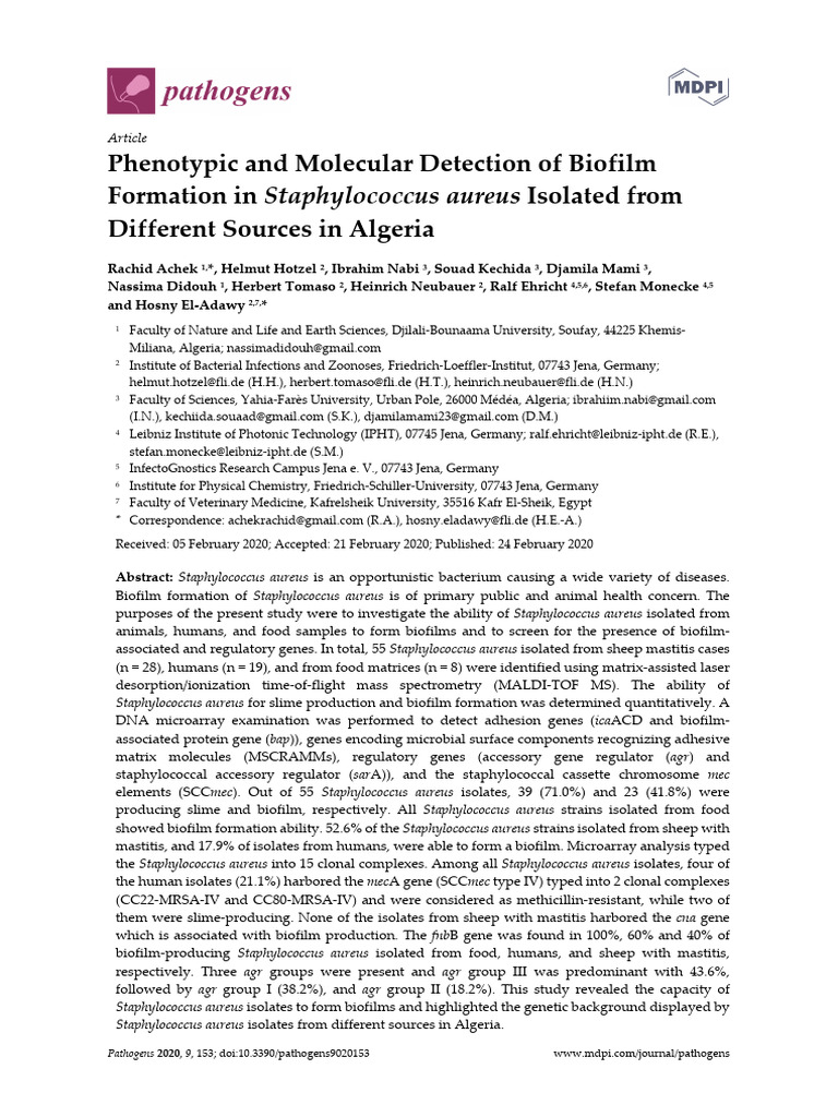 Phenotypic and Molecular Detection of Biofilm | PDF | Staphylococcus ...