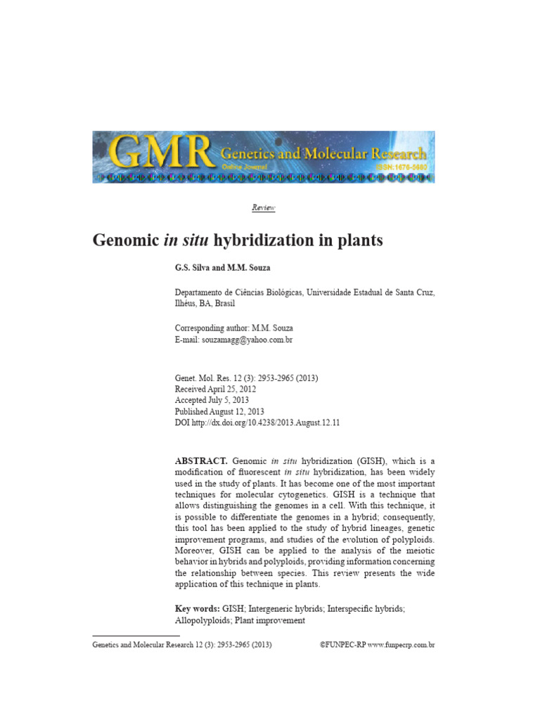 Genomic in Situ Hybridization in Plants | PDF | Ploidy | Fluorescence ...