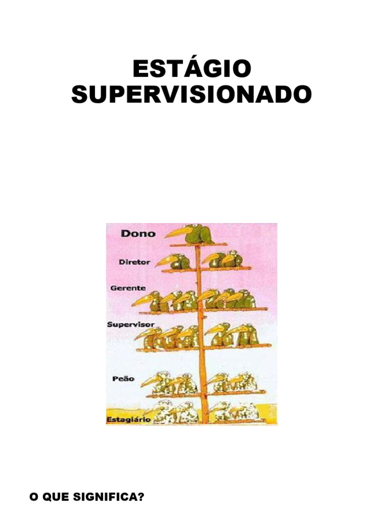 Guia Completo do Estágio Supervisionado | PDF