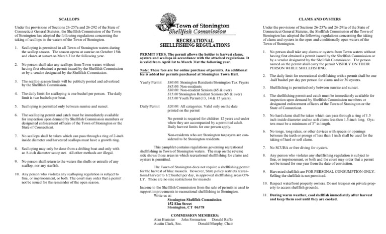 Stonington Shellfishing Regulations Guide | PDF | Shellfish