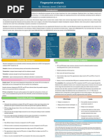 ACE-V Method in Fingerprint Analysis | PDF | Fingerprint | Scientific ...