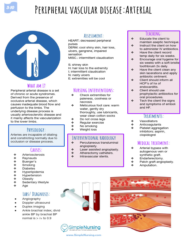 Peripheral Vascular Disease Arterial 240816 044909 PDF 