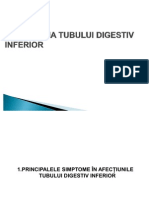 (Curs 10) Tubului Digestiv Inferior