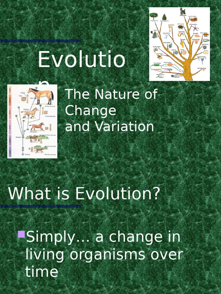 Understanding Evolution and Its Misconceptions | PDF | Evolution ...