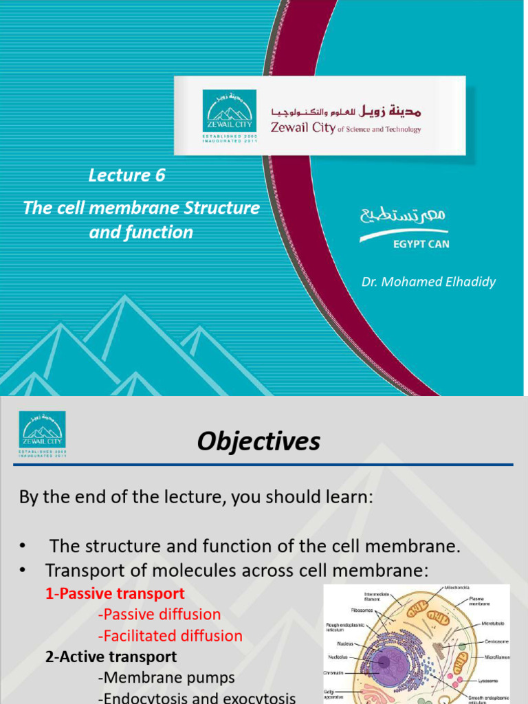BIOL 101 Lecutre 6 Cell Membrane | PDF | Cell Membrane | Cell Signaling