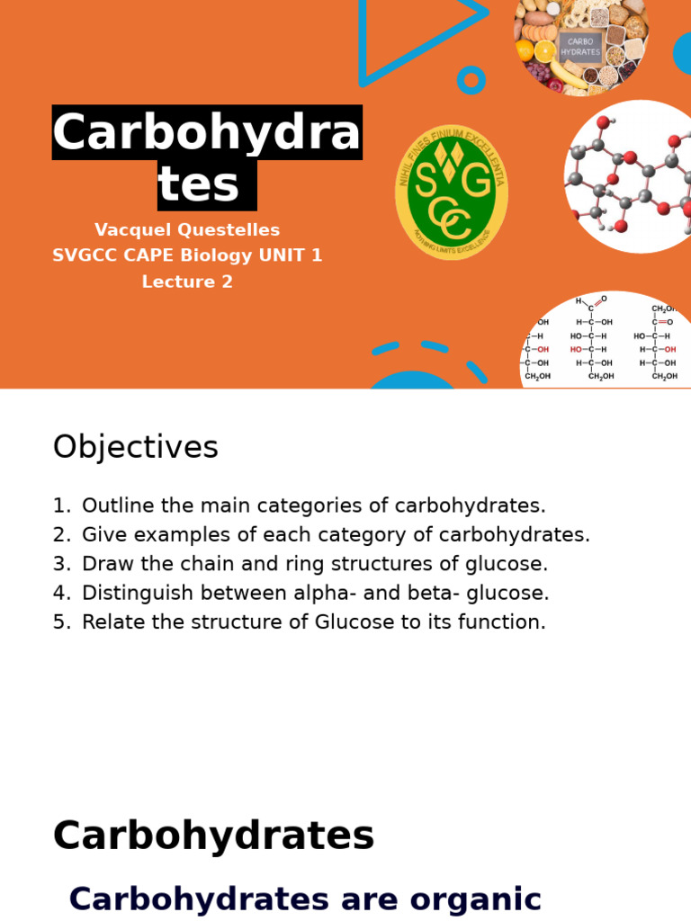 Understanding Carbohydrates: Types & Structures | PDF | Carbohydrates ...
