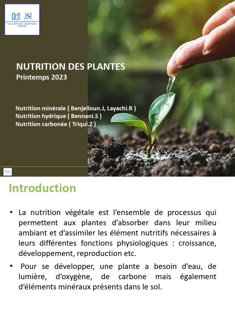 Nutrition des Plantes : Sol et Éléments Essentiels | PDF | Hydroponie ...