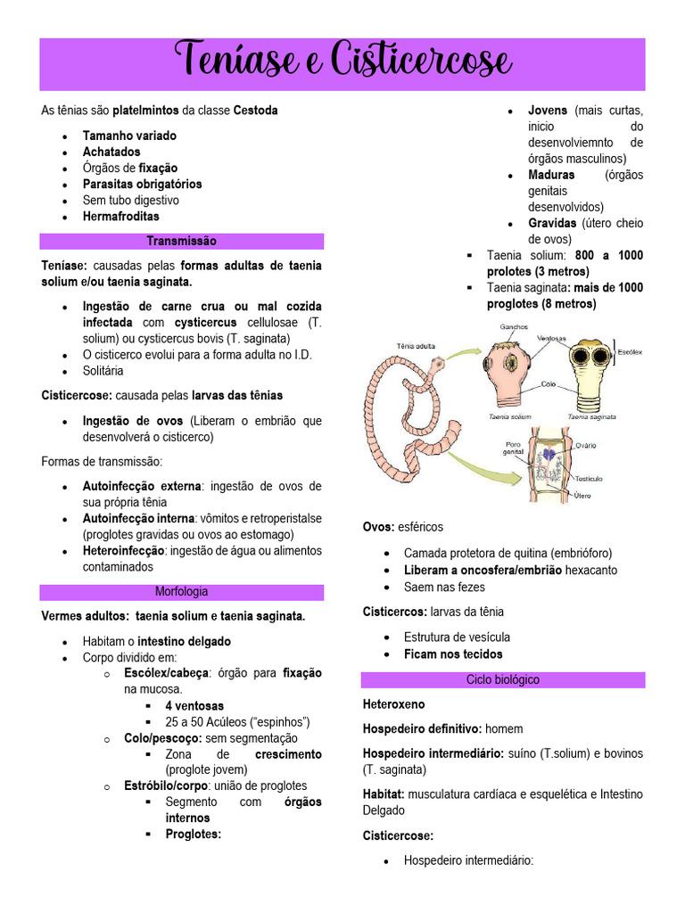 Infecções por Taenia solium: o que é preciso saber? | Colunistas - Sanarmed, image size:768x1024