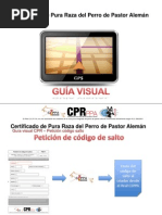 Download Real CEPPA Guia Visual CPR by Real Ceppa SN79736862 doc pdf