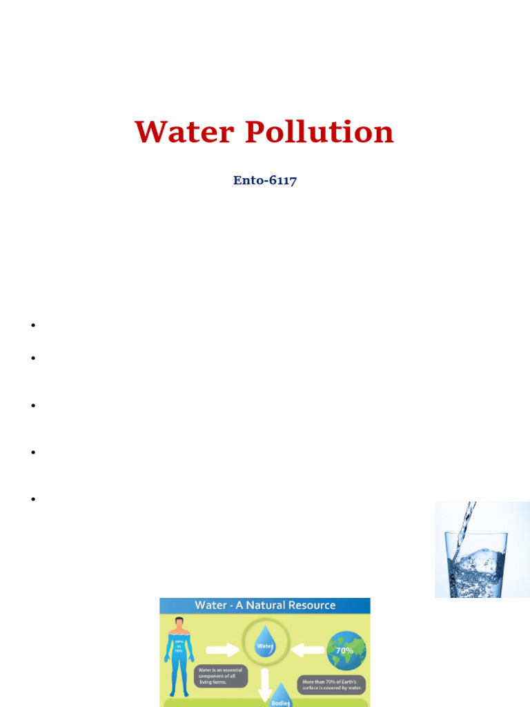 Water Pollution Project Overview | PDF | Water Pollution | Water