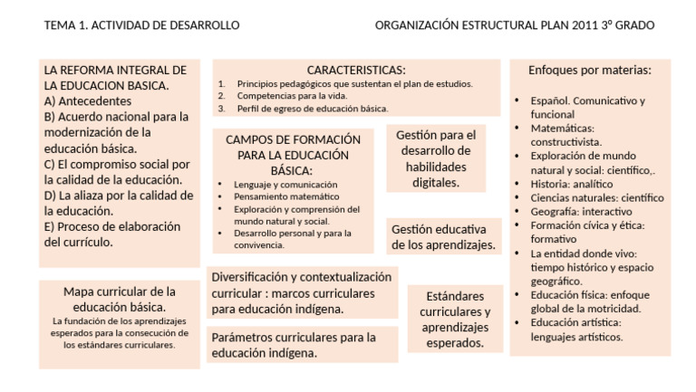 Organizacion Estructural Del Plan 2011 | PDF | Educación primaria ...