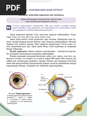 Түкті ескі письки