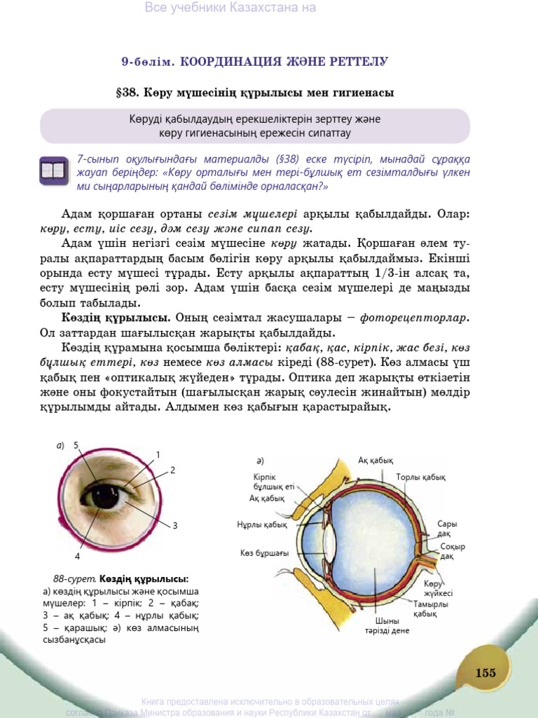 Жабырқаған қызды