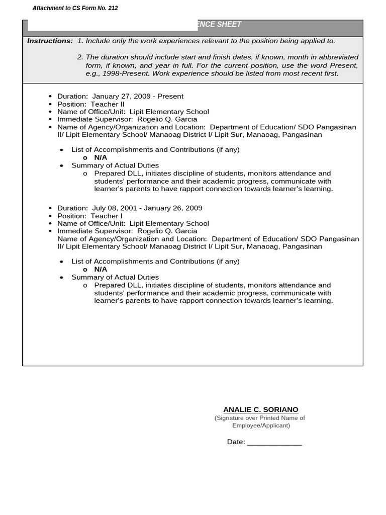 Work Experience Sheet | PDF