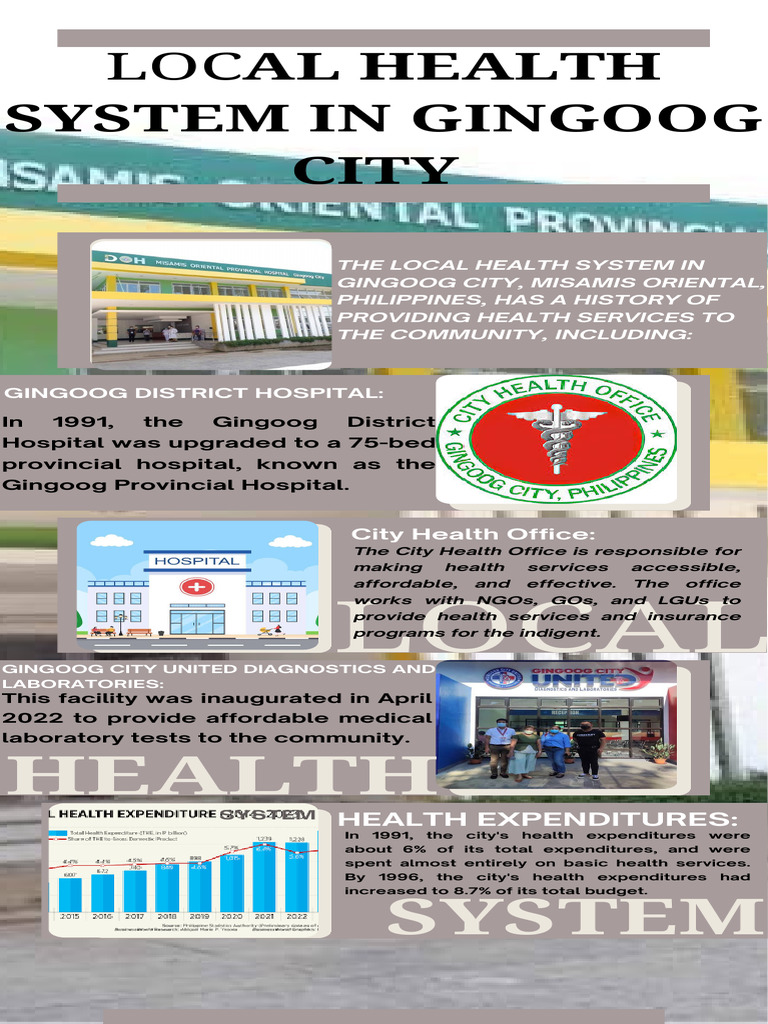 Gingoog City's Local Health Services | PDF