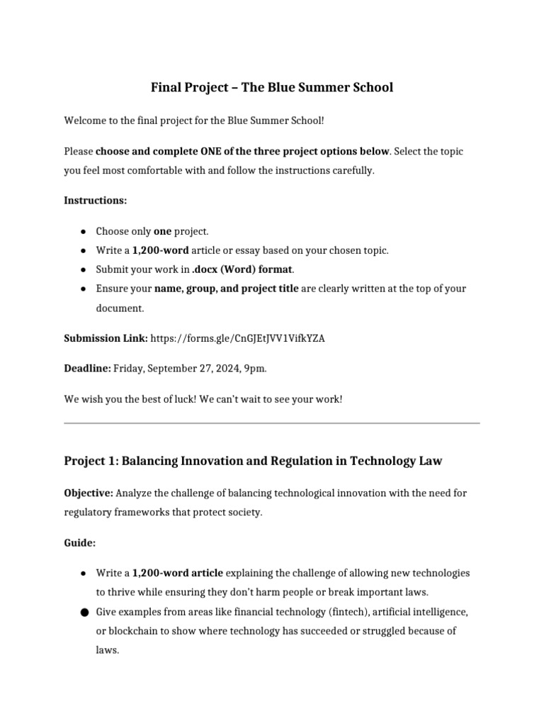 Blue Summer School Final Project Guide | PDF | Innovation