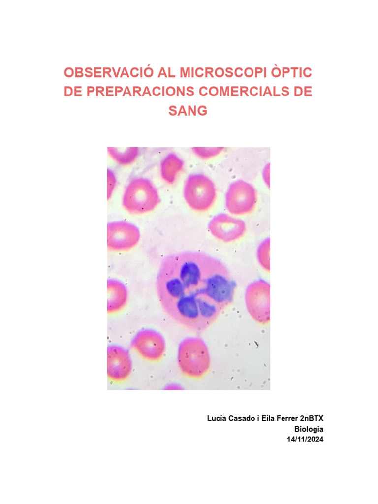 Exercici Pr02 Observacio Sang | PDF