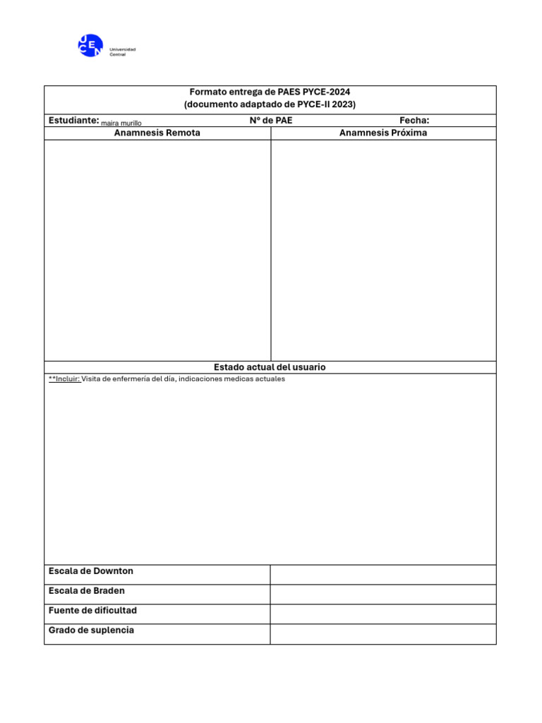 Formato PAES PYCE-2024 para Enfermería | PDF