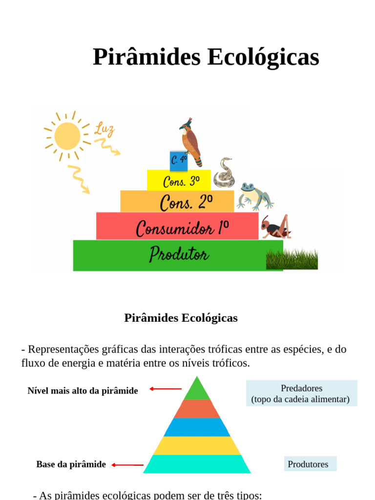 Introdução às Pirâmides Ecológicas | PDF | Biomassa (Ecologia ...