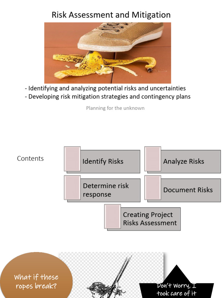 Risk Assessment and Mitigation Strategies | PDF | Risk | Risk Management