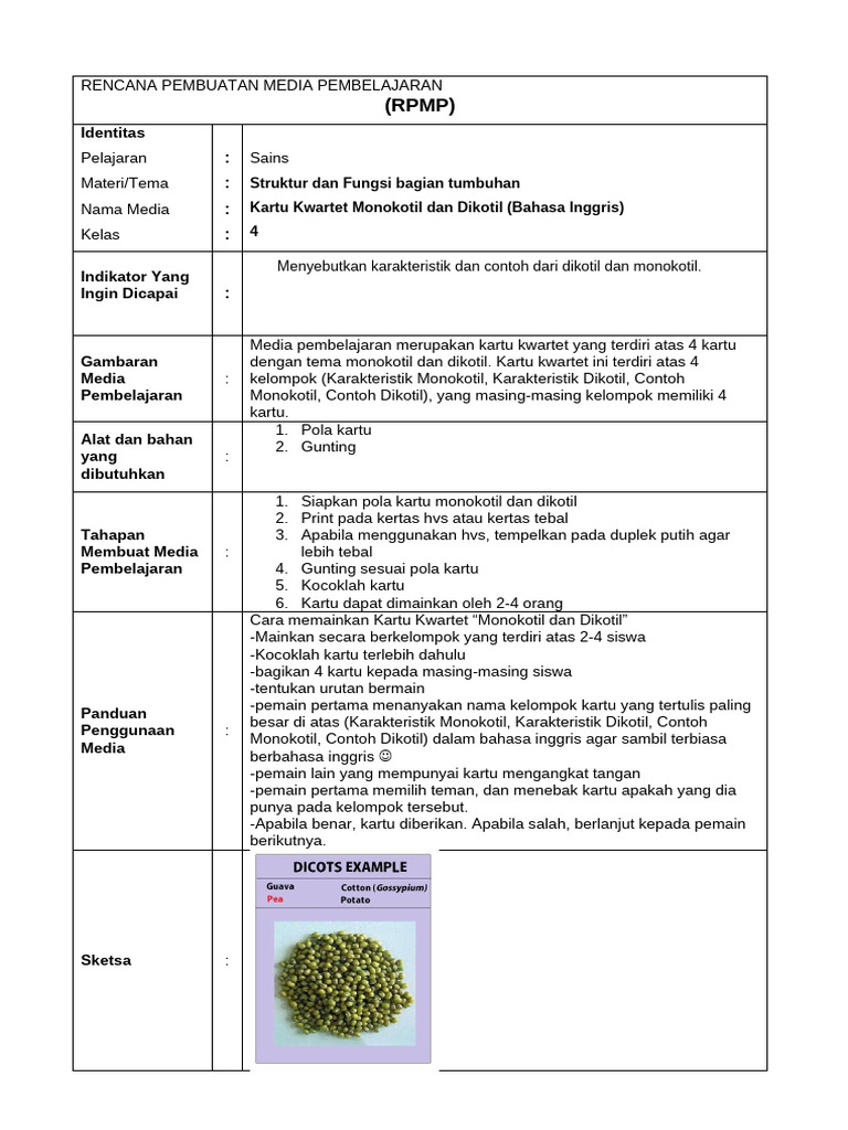 RPMP - Citra Amalia | PDF