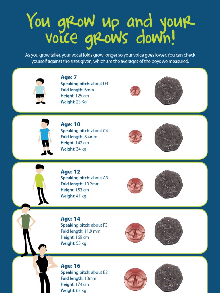 Voice Changes With Growth Ages 7 16 PDF