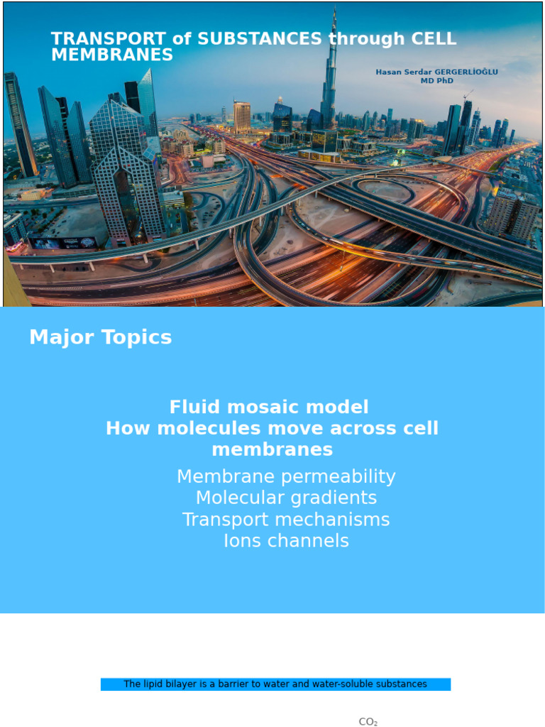 Membrane Transport Mechanisms Explained | PDF | Cell Membrane | Ion Channel