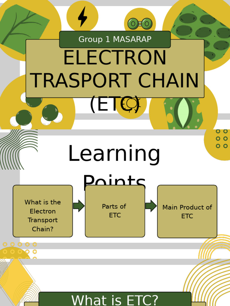 Group 1 MASARAP: Electron Trasport Chain (ETC) | PDF