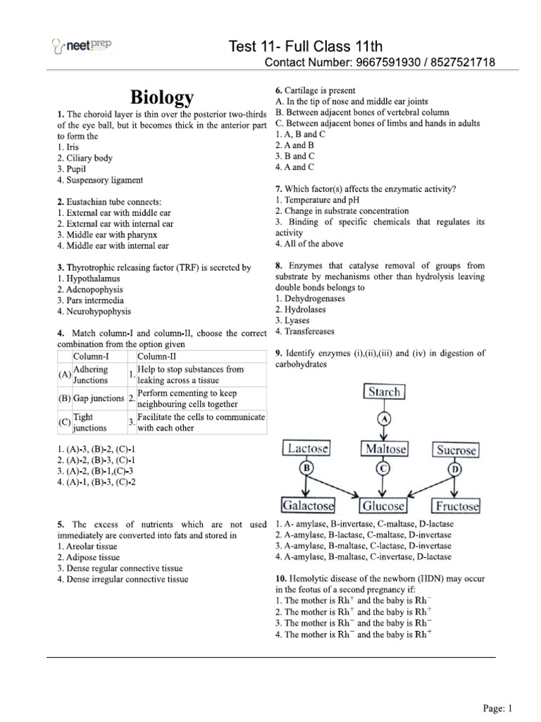 Full Class 11th | PDF