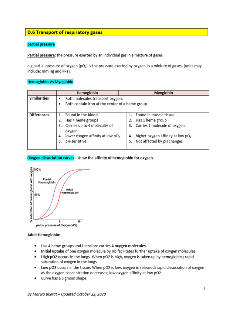IB Biology Option D: Human Psychology Subtopic 6 | PDF | Hemoglobin | Blood