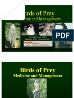 Birds of Prey Medicine and MGMT