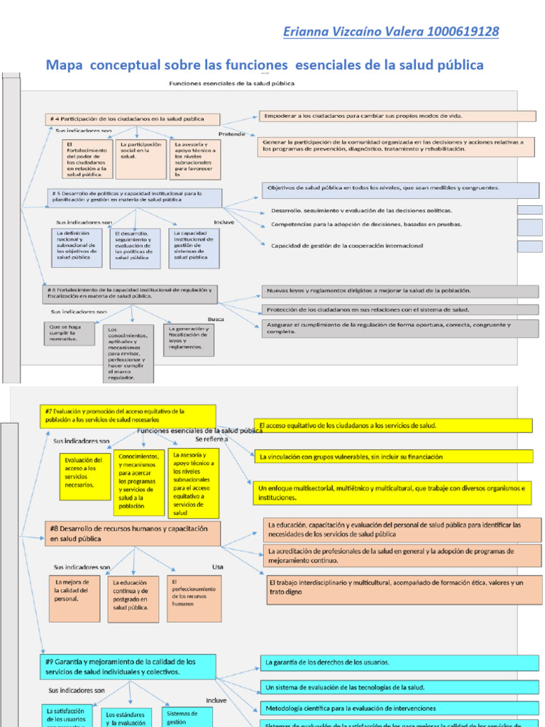 Mapa Conceptual Sobre Las Funciones Esenciales de La Salud Pública | PDF