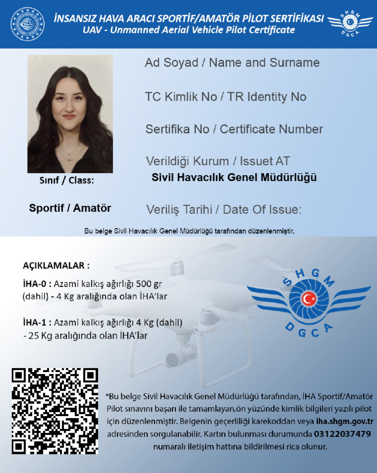 Pilot Card (11450889) | PDF
