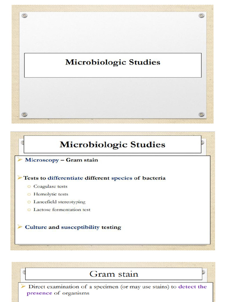 Laboratory Test Part IV - 024647 | PDF