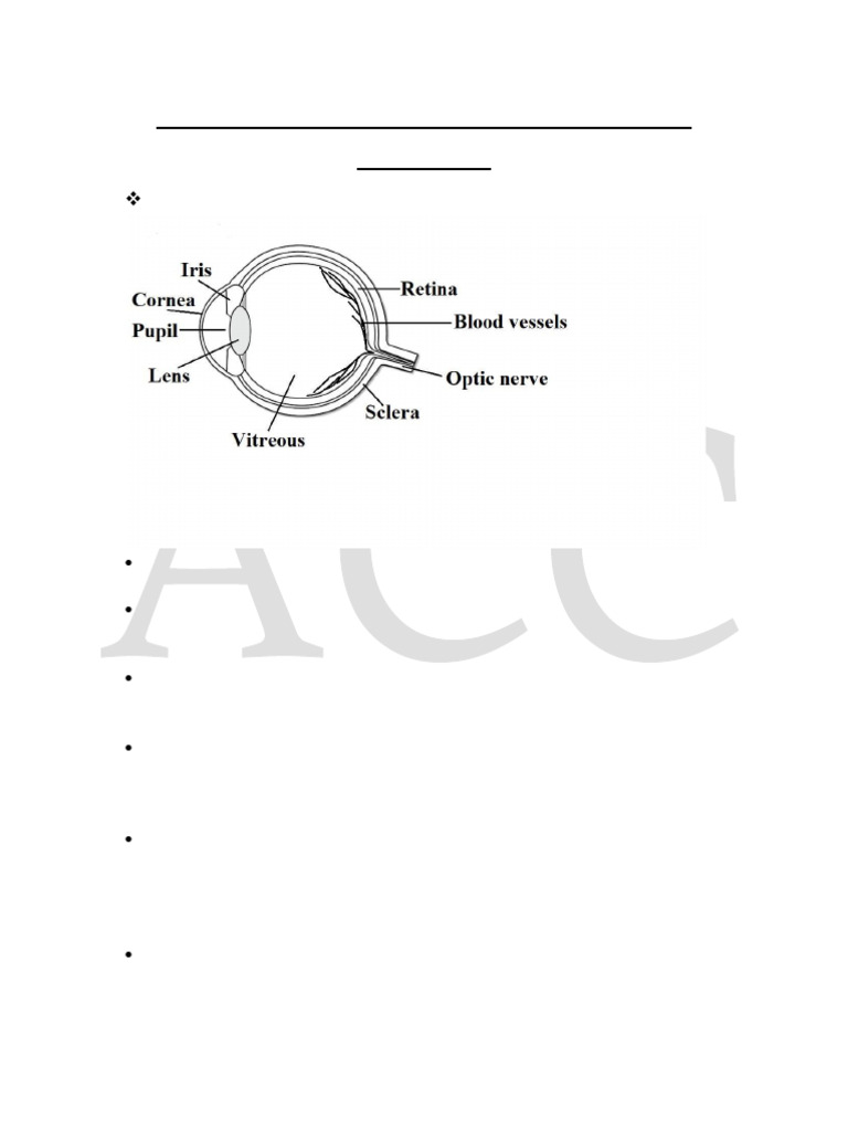 Eye Anatomy & Vision Defects Notes | PDF | Rainbow | Eye