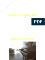 40.MentalRay