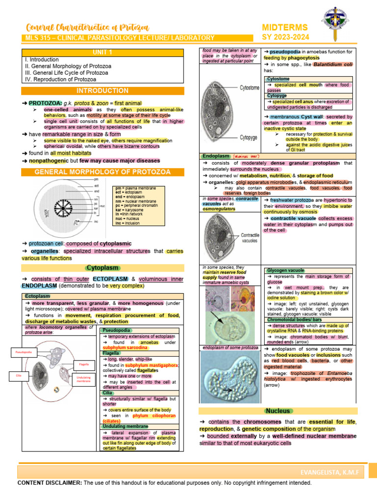 Parasitology Midterms | PDF | Plasmodium | Protozoa