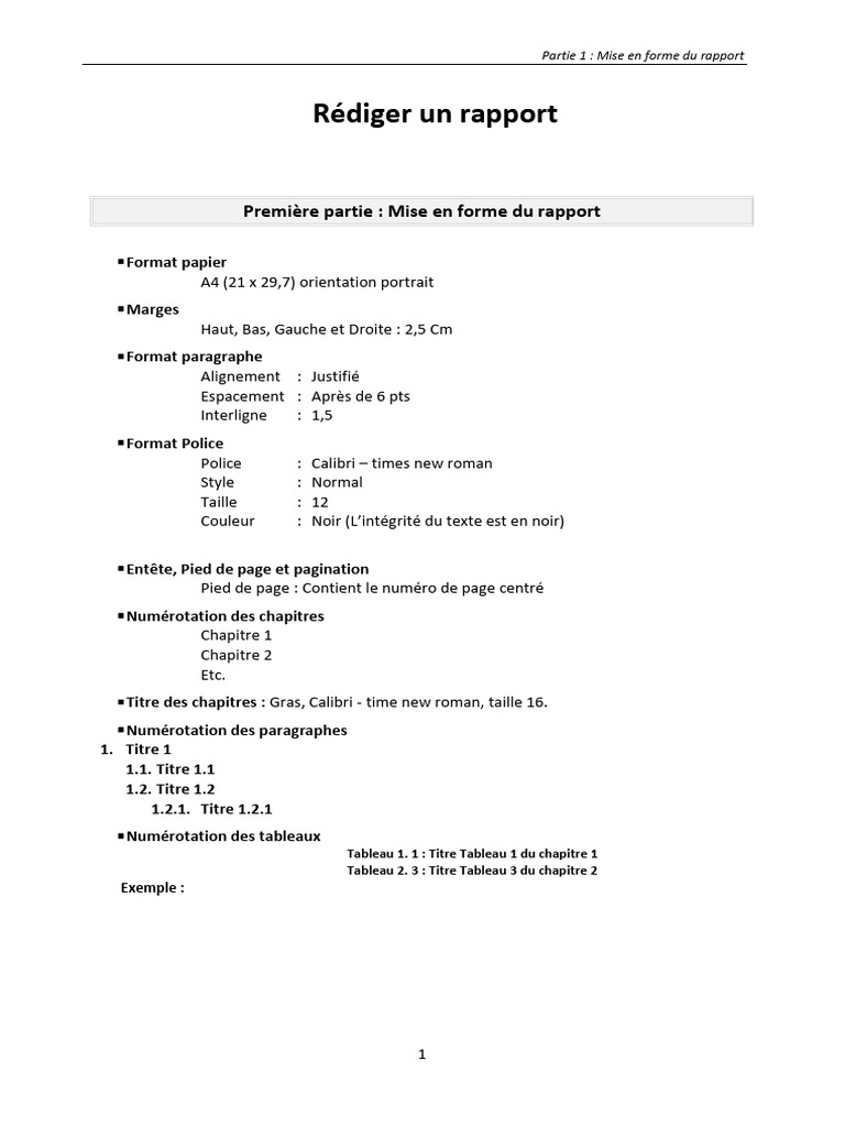 Guide de mise en forme d'un rapport | PDF