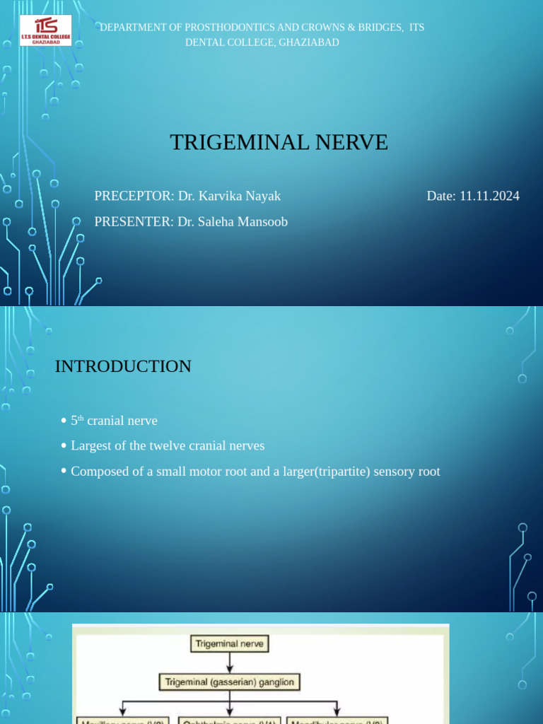 Trigeminal Nerve | PDF | Human Head And Neck | Human Anatomy