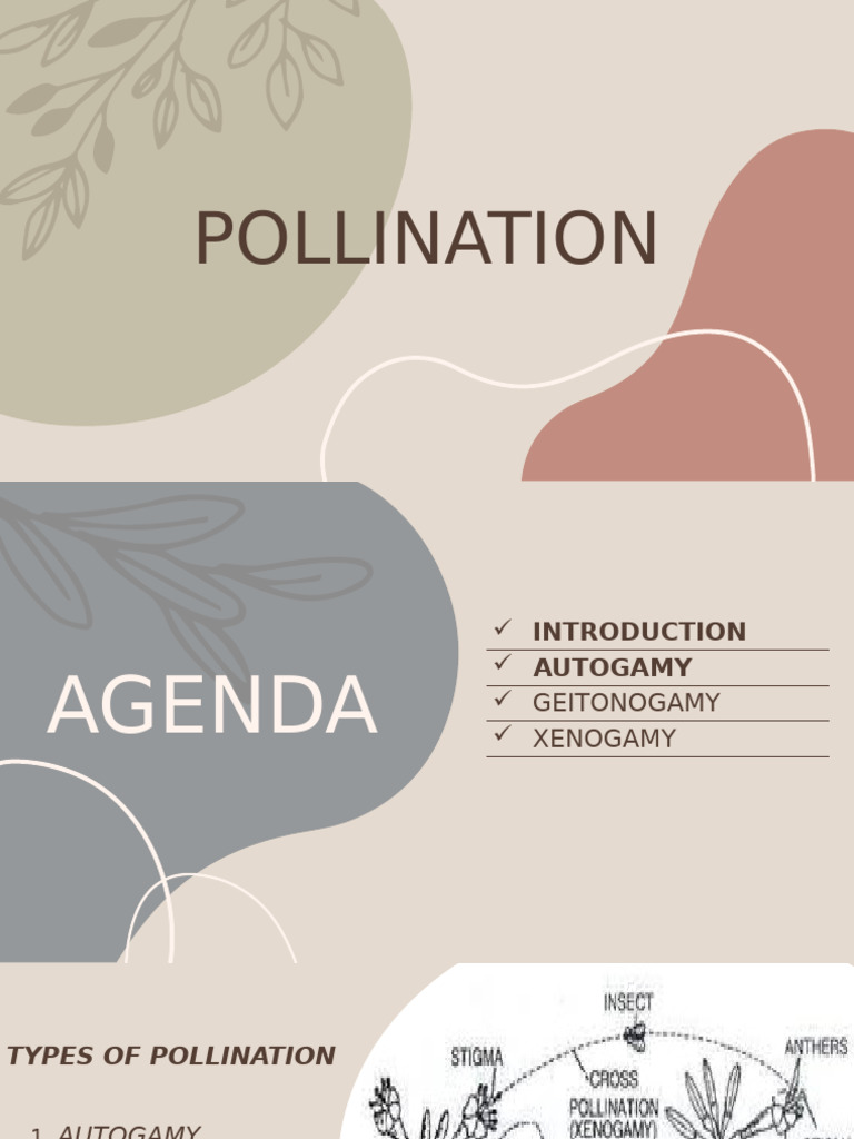 Types of Pollination Explained | PDF