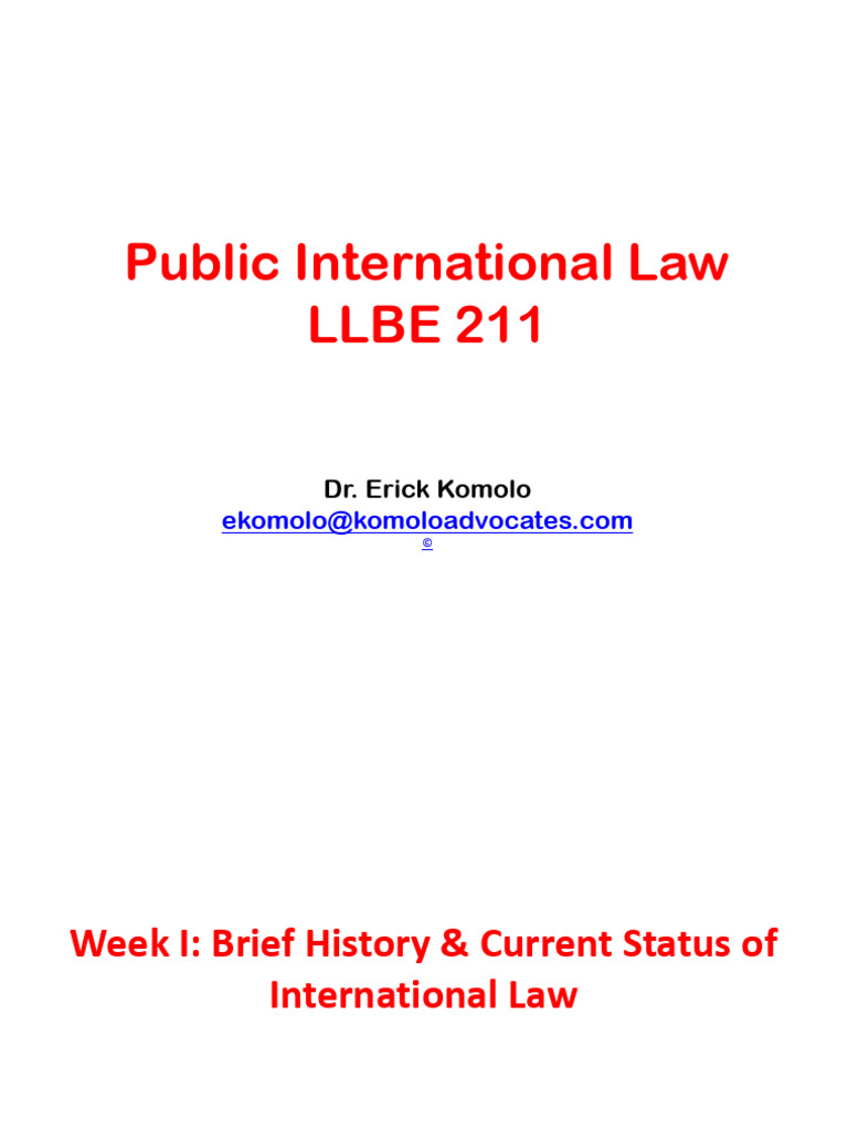 Overview of Public International Law | PDF | Treaty | International Law