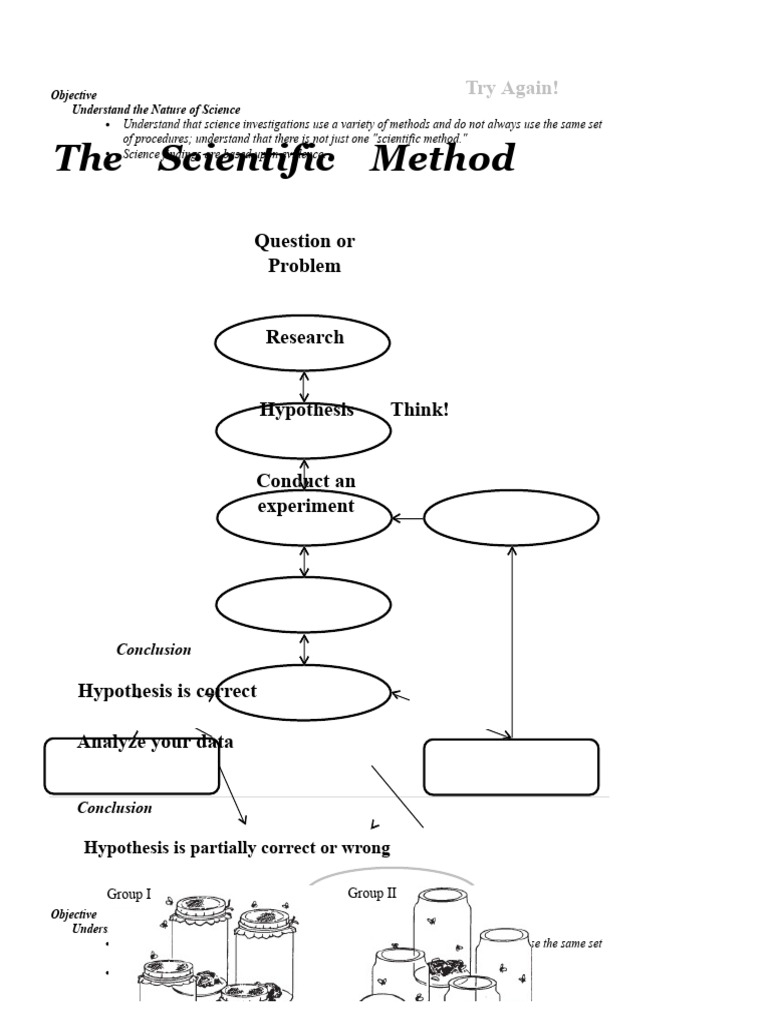 Open Scientfic+Method+2+A | PDF | Experiment | Science