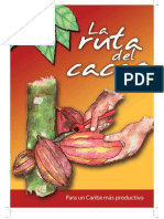 Cacao Caribe