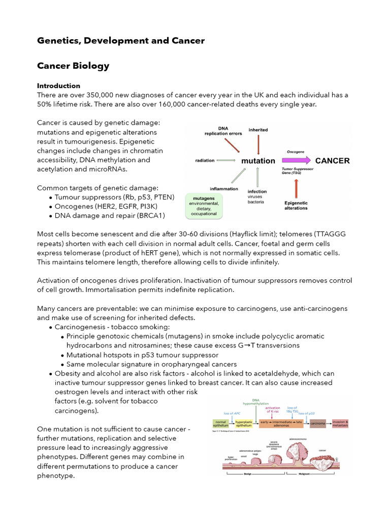 Tommy, GDC Cancer Notes 2021 - Tom Jenkins | PDF | Tumor Suppressor ...