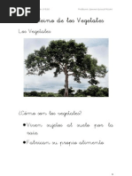 Ud3 El Reino Vegetal