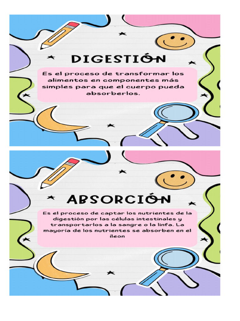 Digestion Pdf