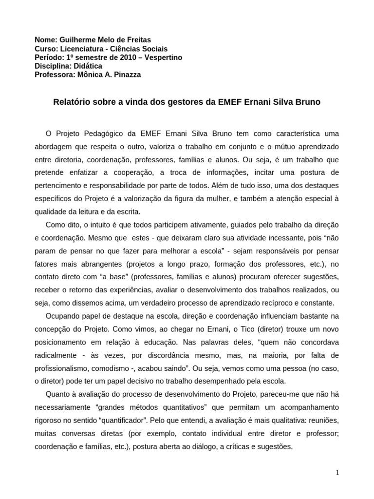 Relatório EMEF | PDF | Aprendizado | Pedagogia